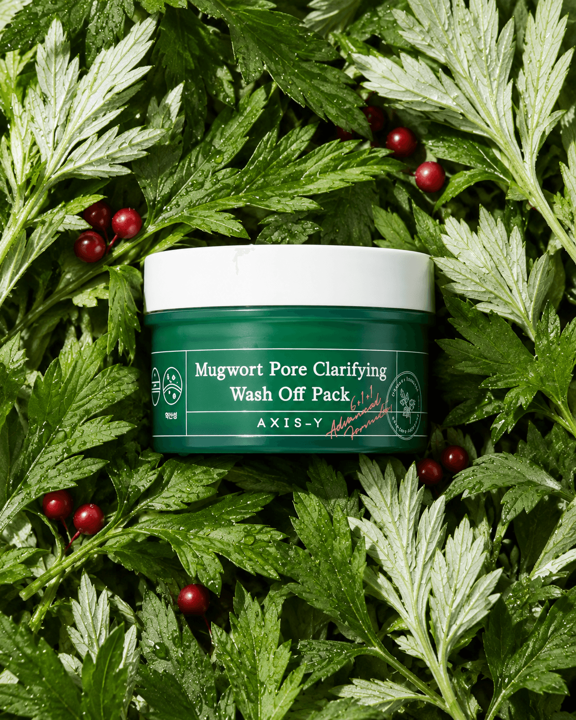 Mugwort Pore Clarifying Wash Off Pack 100ml